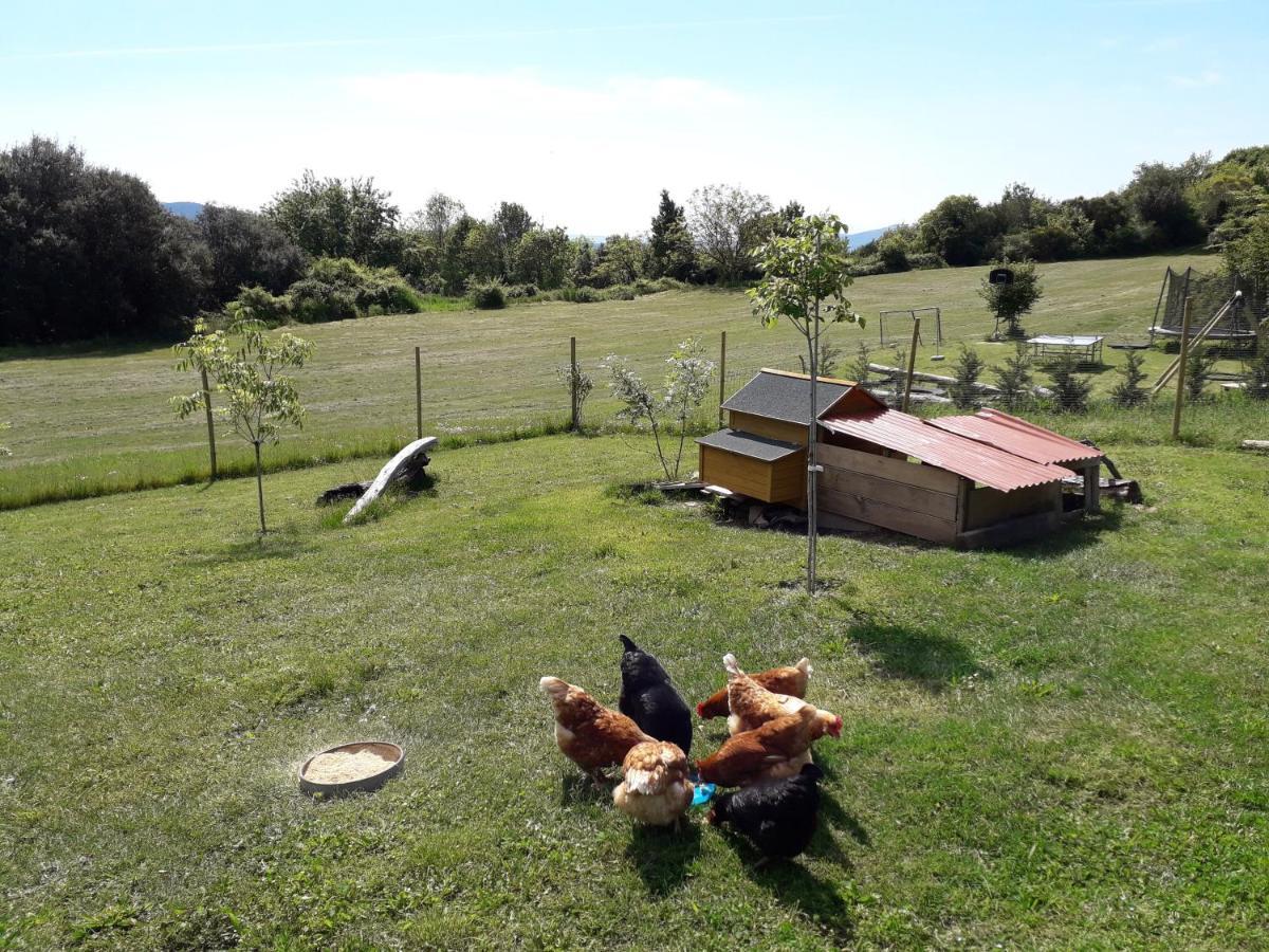 Holiday home Pedragos Sales de Llierca