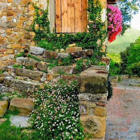 Can Pedragos Sales de Llierca Exterior photo