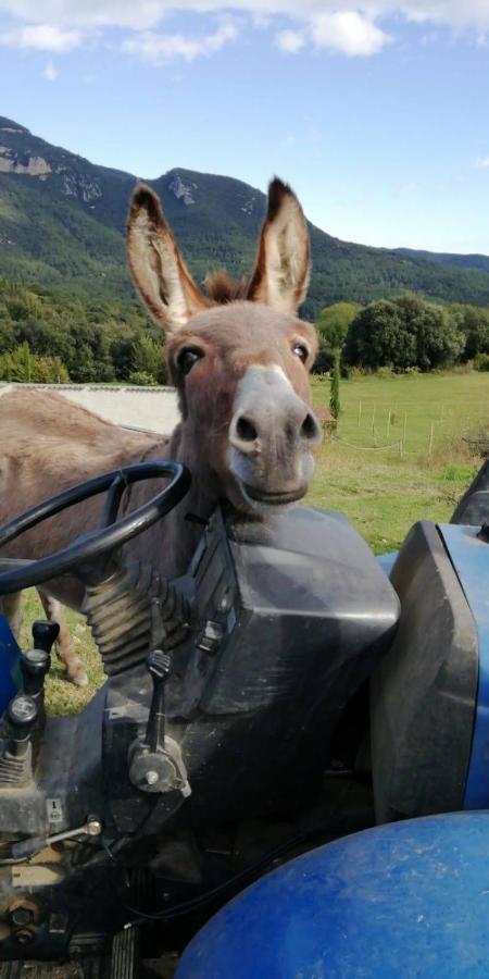 Hébergement de vacances Pedragos