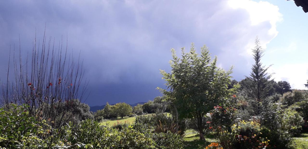 Hébergement de vacances Pedragos