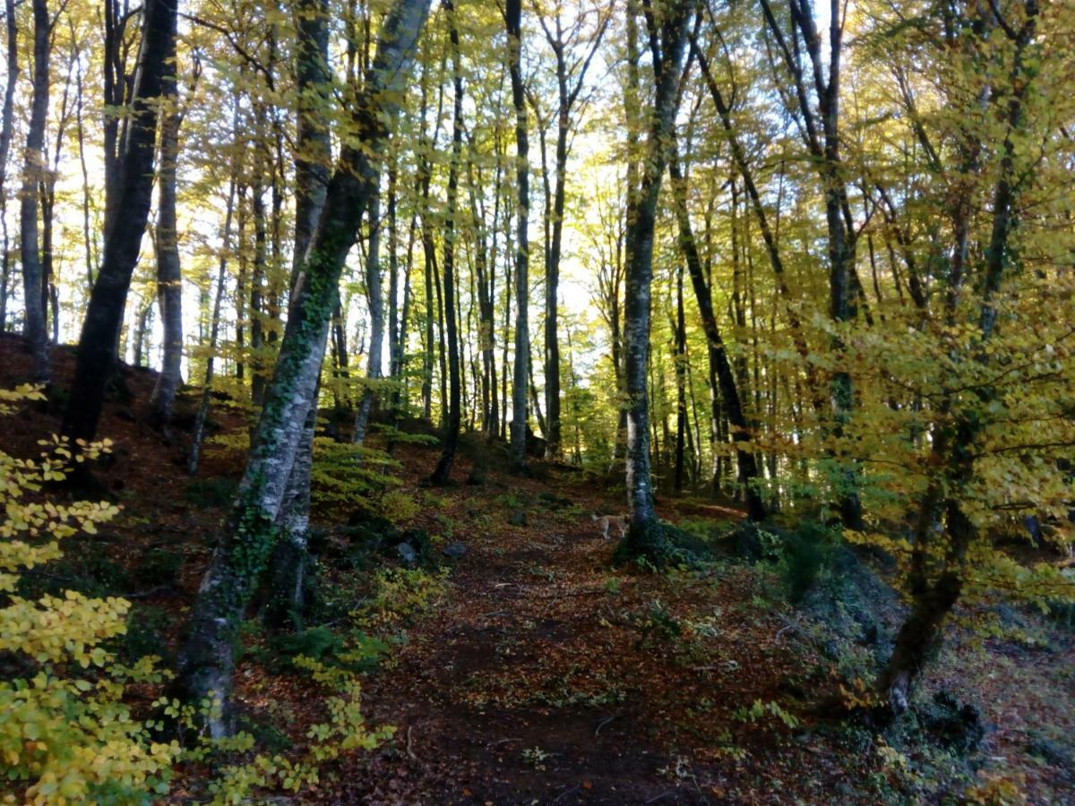 Hébergement de vacances Pedragos *